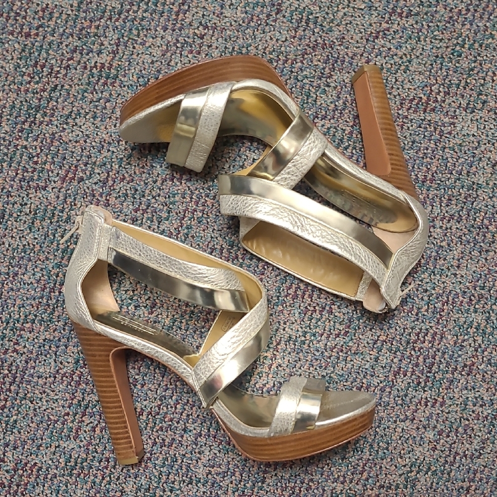Coach Brynn Metallic Criss Cross Metallic Platform Sandal